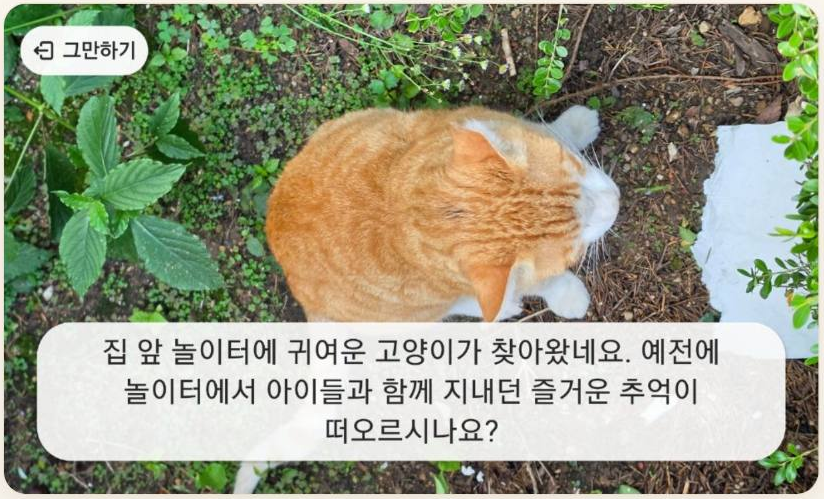 고양이 사진과 추억을 묻는 질문이 표시된 다솜일상 추억소환 화면